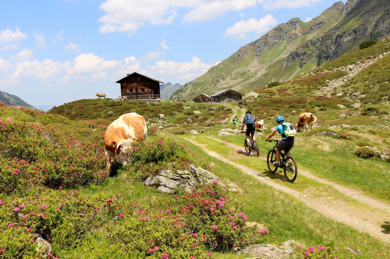 Rohrmooser Schloessl Schladming Bagian luar foto